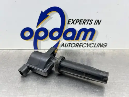 Bobine-8388794