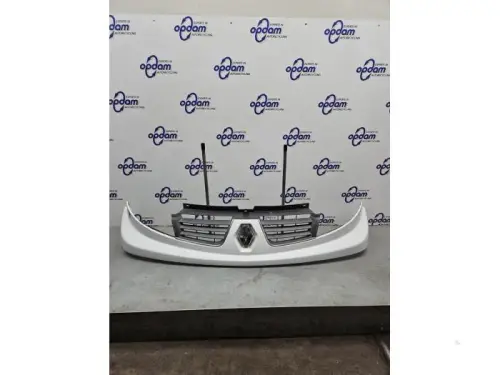 Grille-8200900