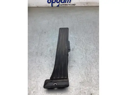 Gaspedaalpositie Sensor-8044246