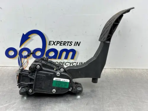 Gaspedaal-8274881