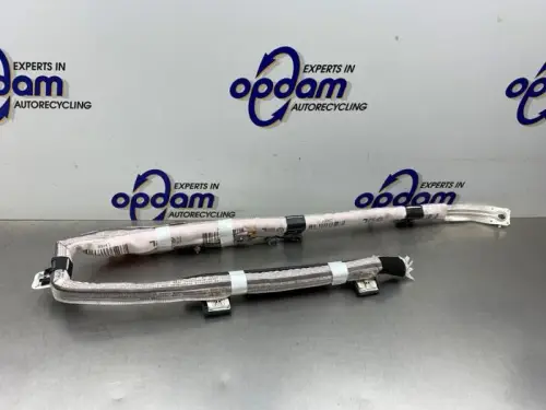 Airbag hemel links-8231804