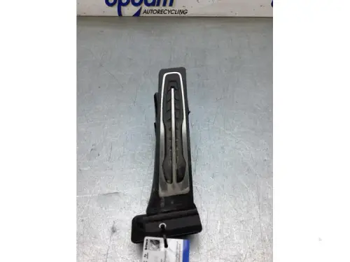 Gaspedaalpositie Sensor-8295847