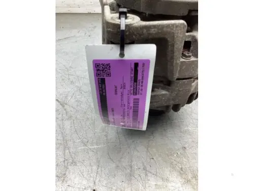Dynamo-8359496