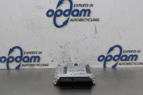 Computer Motormanagement-8156098