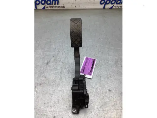 Gaspedaalpositie Sensor-8272661