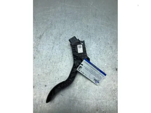 Gaspedaalpositie Sensor-8290696
