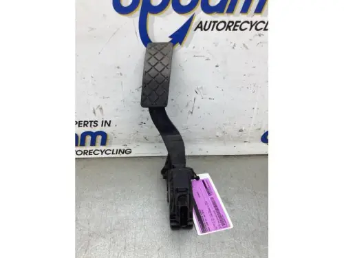 Gaspedaalpositie Sensor-8271045