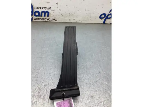 Gaspedaalpositie Sensor-8313599
