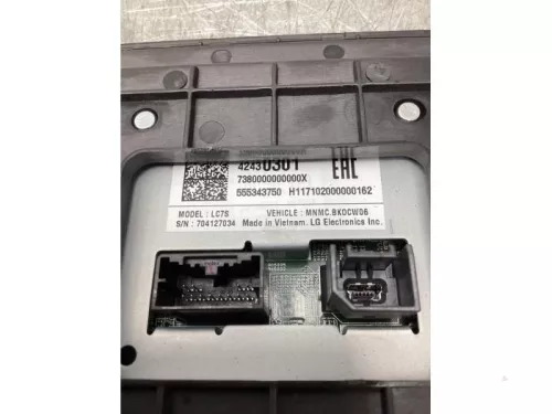 Display Multi Media regelunit-8096926 (20488471)