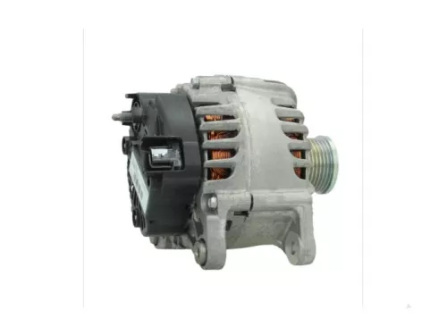Dynamo- (16456132)