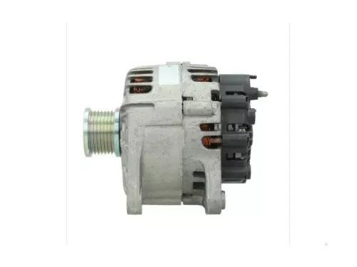 Dynamo- (16456132)