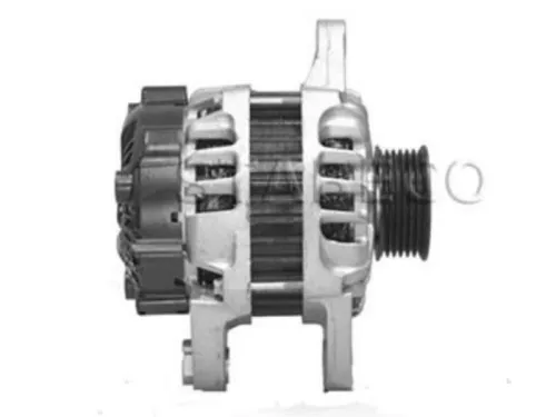 Dynamo- (16456144)