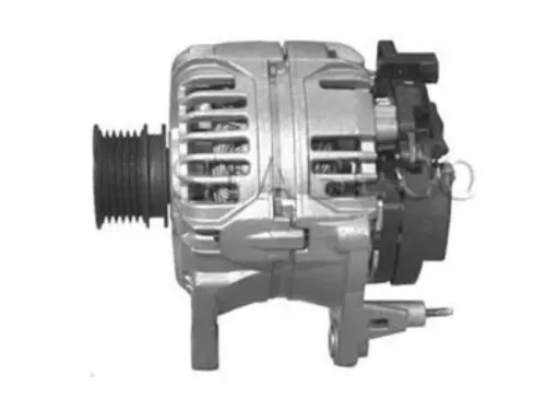 Dynamo- (16456043)