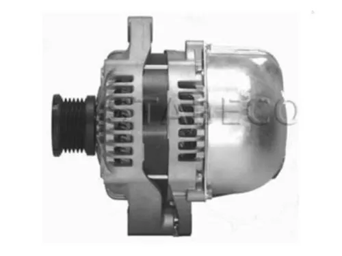 Dynamo- (16456274)