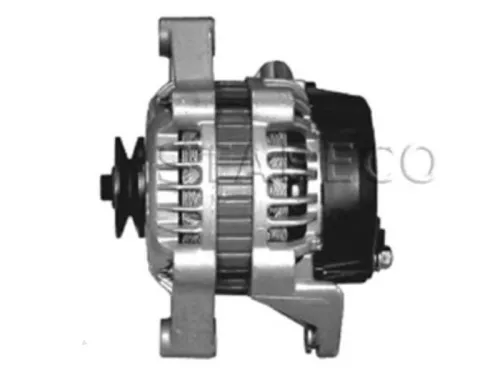 Dynamo- (16455996)