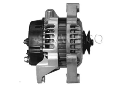 Dynamo- (16455996)