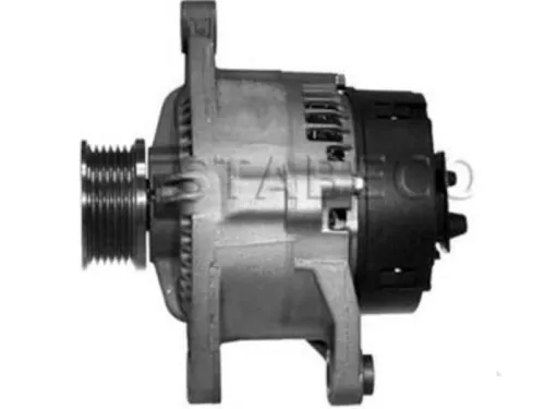 Dynamo- (16456071)
