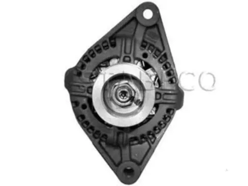 Dynamo- (16456071)