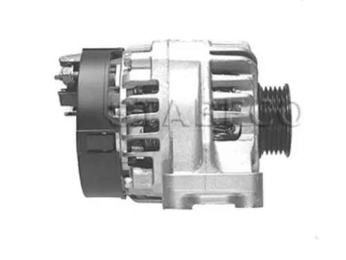 Dynamo- (16456086)