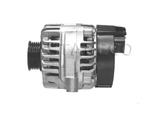 Dynamo- (16456086)