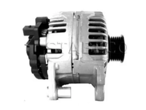 Dynamo- (16432600)