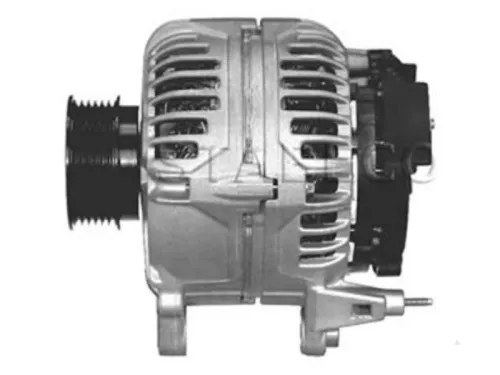 Dynamo- (16456065)