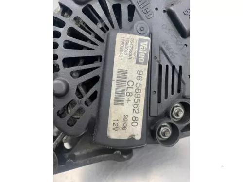 Dynamo-8315406 (22539757)