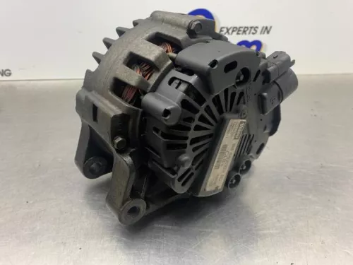 Dynamo-8315406 (22539757)