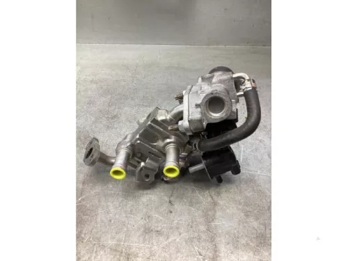 EGR Klep-