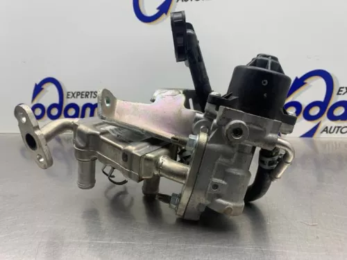 EGR Klep-8303821 (22344657)