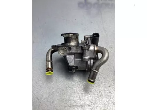 EGR Klep-6918849 (17268399)