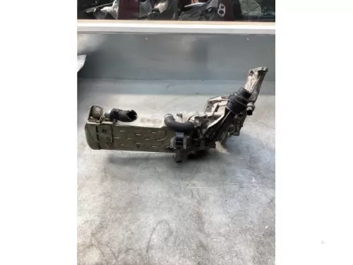 EGR Klep-