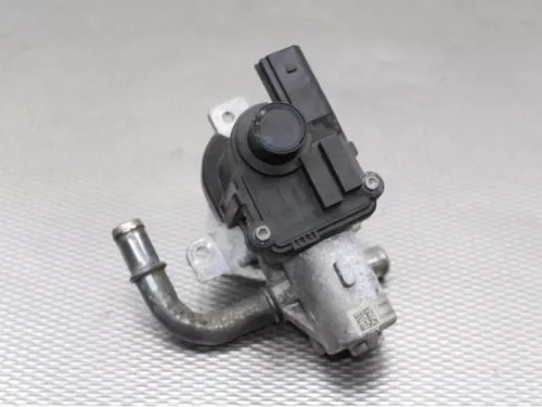 EGR Klep-7590028 (12832720)