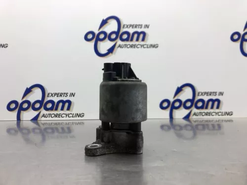 EGR Klep-8220837