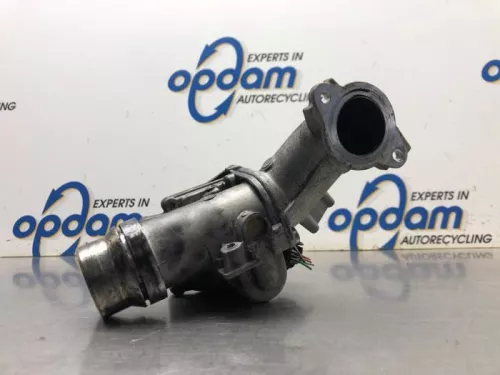 EGR Klep-8174415