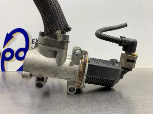 EGR Klep-8231821