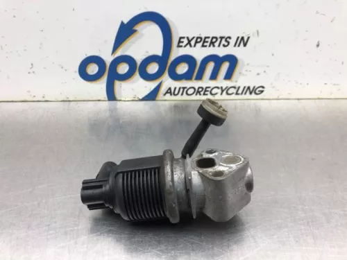 EGR Klep-8155960