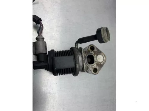 EGR Klep-8142015 (21543482)