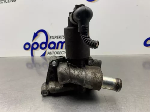 EGR Klep-8253311 (21554555)