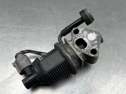 EGR Klep-8303067 (22317512)