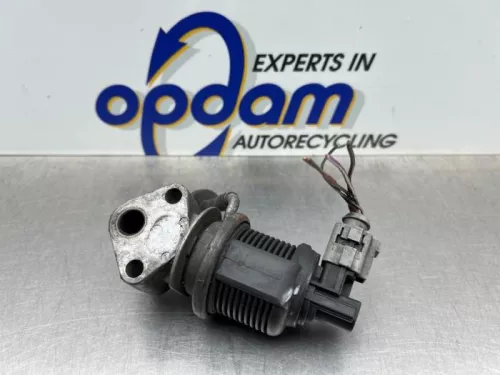 EGR Klep-8321004 (22580072)