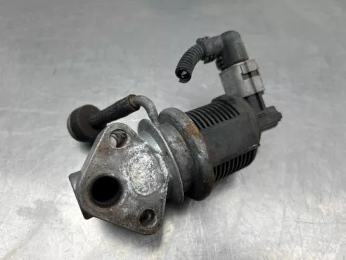 EGR Klep-8296671 (22303335)