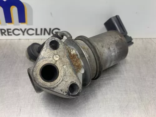 EGR Klep-8317808