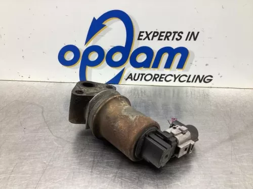EGR Klep-8050082