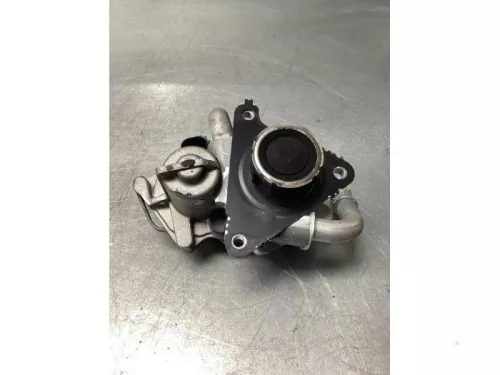 EGR Klep-7366488 (17923701)