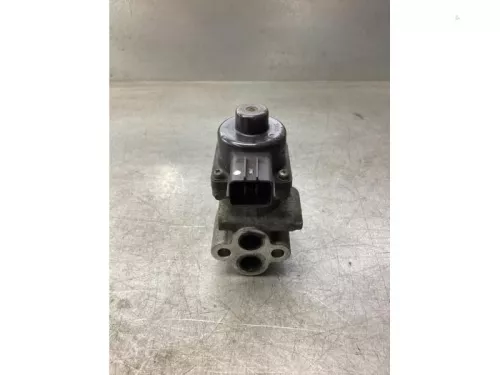 EGR Klep-