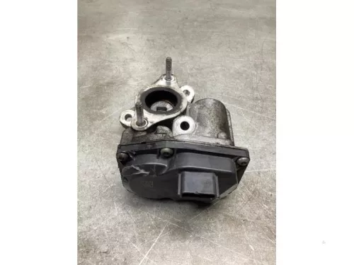 EGR Klep-