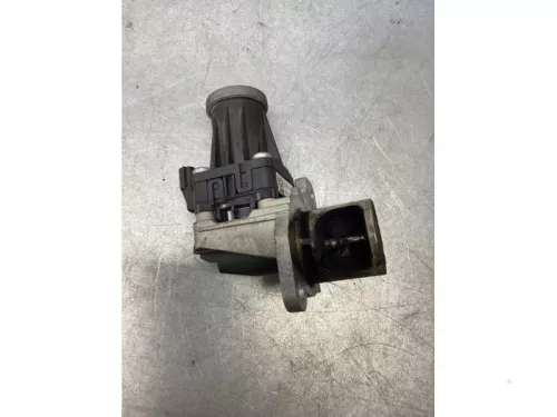 EGR Klep-