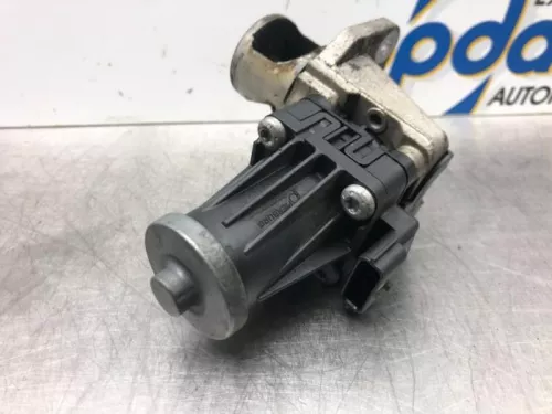 EGR Klep-