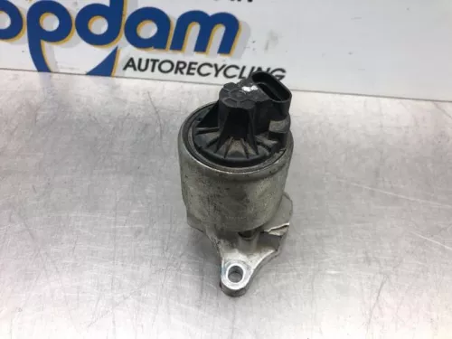 EGR Klep-7576890